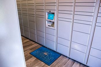Hub package lockers